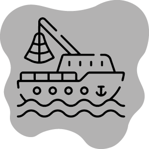 Partecipare alla Festa per la Madonna del Carmine