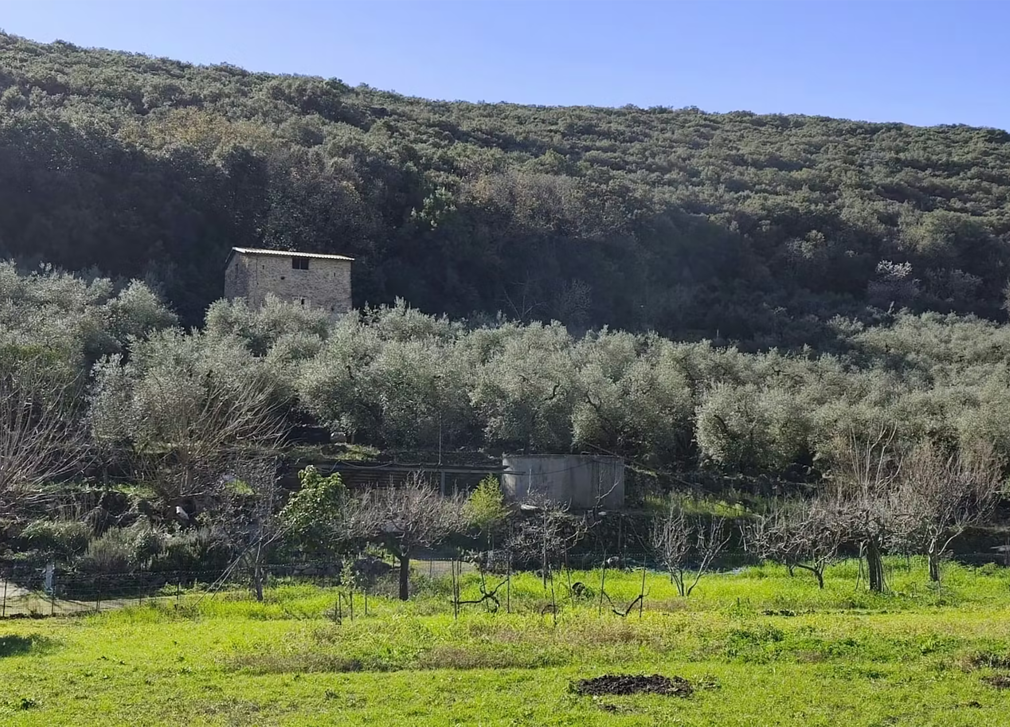 L'azienda Cosmo Di Russo di Gaeta