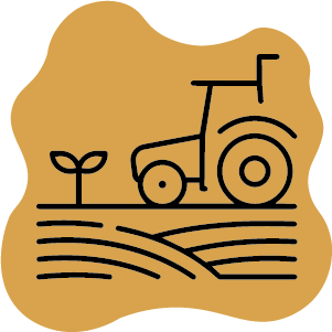 Visite alle aziende agricole e vinicole