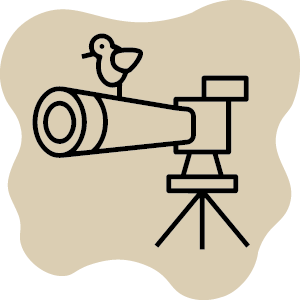 Birdwatching ai laghi di Paola e di Caprolace