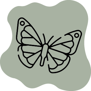 Nel Parco Naturale a inseguire farfalle