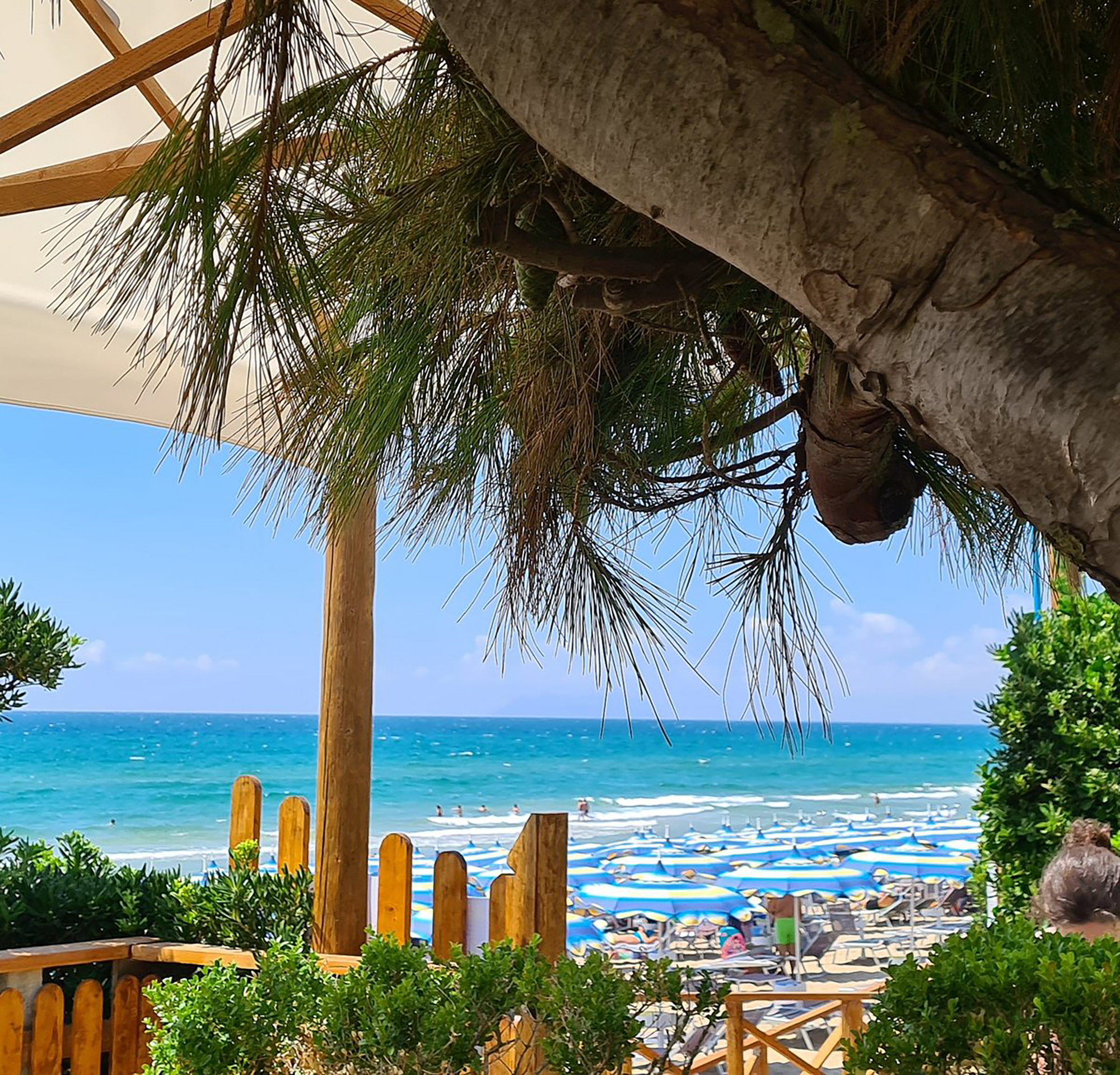 Stabilimenti balneari e Food