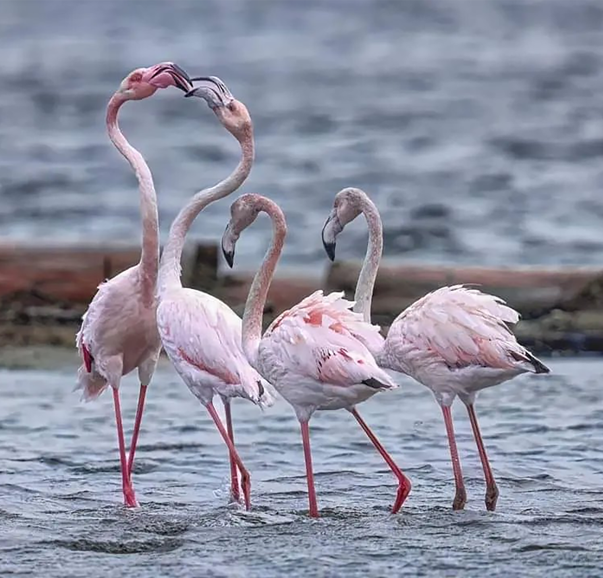 Visite ed escursioni