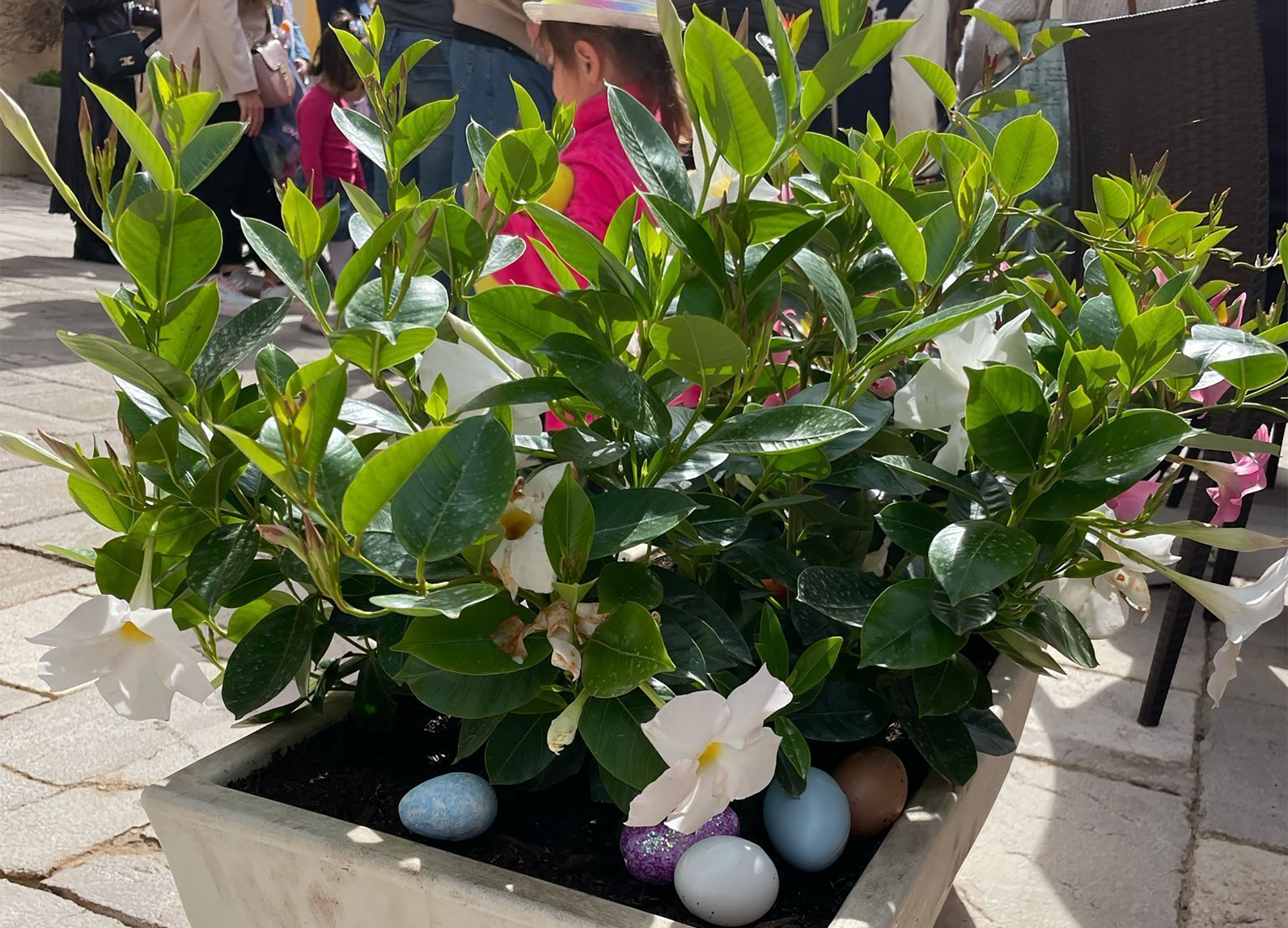 La Caccia alle Uova a San Felice Circeo