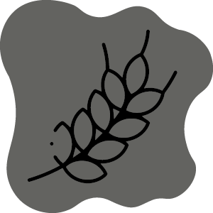 Partecipare alla Sagra delle Regne