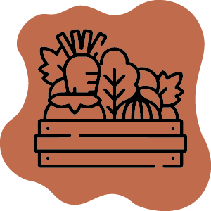 Fare la spesa al Mercato di Largo Paone